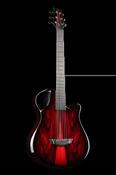 X10 Pau Ferro - Emerald Guitars