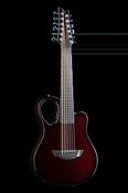 Amicus Red - Emerald Guitars image