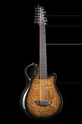 X7-12 Tamo Ash - Emerald Guitars image