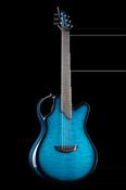 X20 Quilted Maple - Emerald Guitars image