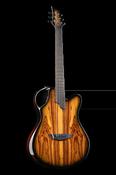 X20 Kingwood - Emerald Guitars image