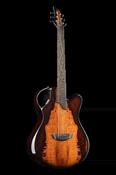 X20 Cocobolo - Emerald Guitars image