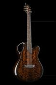 X20 Bog Oak - Emerald Guitars image
