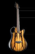 X20 Royal Ebony - Emerald Guitars