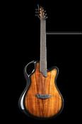 X20 Koa - Emerald Guitars
