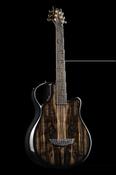 X7 Harborica - Emerald Guitars image