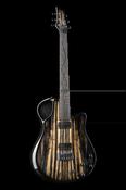 Virtuo Harborica - Emerald Guitars image