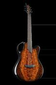 X20 Redwood Burl - Emerald Guitars image