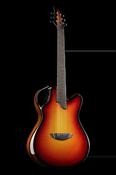 X20 Vibrant Amber - Emerald Guitars image