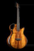 X30 Koa - Emerald Guitars image