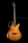 X20 Lacewood - Emerald Guitars image