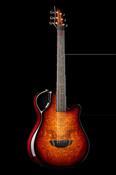 X10 Figured Maple - Emerald Guitars image
