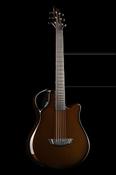 X10 Amber - Emerald Guitars image