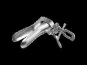 Cusco Vaginal Speculum, Large image