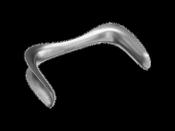 Sims Speculum image