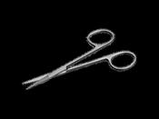 Iris Stitch Scissors, Fine image
