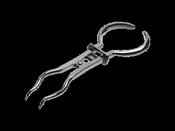 Instrapac® Brewer Rubber Dam Clamp Forceps image