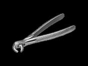 Instrapac® Extracting Forceps No.123 image