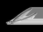 Instrapac® Extracting Forceps No.39 image
