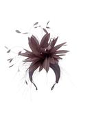 'Venus' Crown Mauve