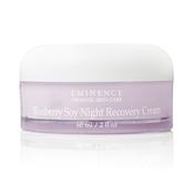 Blueberry Soy Night Recovery Cream image
