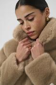 Karosa Fur Coat image