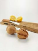 Citrus Juicer