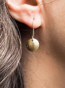 Botanical Brass Earrings