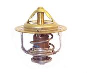Hyster XM (D177) Thermostat