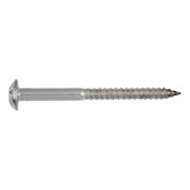 Safety screw A2 stainless steel, plain, dowel thread