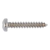 Pan head tapping screw pointed image