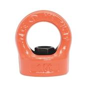 Ring nut H.Q.E.