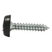 Polymer Head Galvanised Steel Self Tapping Screw