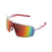 Muscida safety goggles