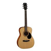 Cort AF510 Guitar