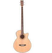 Acoustic Bass Guitar image
