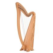Glenluce 22 String Harp, 22 Levers