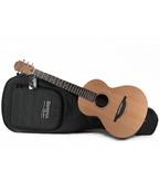 Sheeran by lowden W-01
