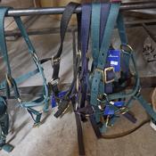 Nylon Headcollar- Various Colours- Foal Slip image