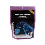 Equine America Magnitude 1kg or 180 Day Supply image