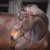 Shires Velociti Gara Plain Bridle- Brown- Pony image