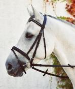 Equisential Bling Bridle- Black image