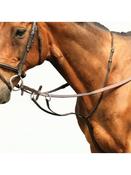Equisential Classic Running Martingale- Black image