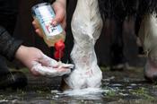 Leovet Medicated Wash