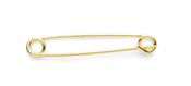 Aubrion Plain Gold Plated Stock Pin