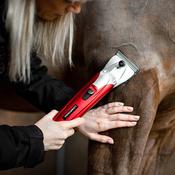 Liveryman Black Beauty Clippers- Out of stock