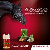 Paskacheval Algua Detox- Liver, Blood &amp; Kidney Cleanse