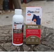 Plus Vital Effident Hygiene Oral Formula - 120ml image