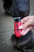 Liveryman Robin Horse Trimmers
