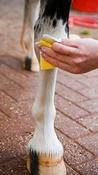 Smart Grooming Leg &amp; Body Whitener 500gm